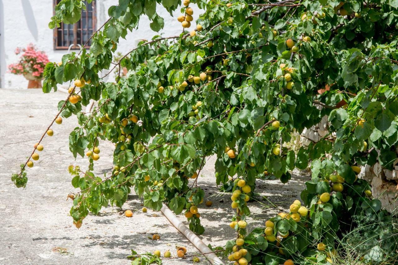 Apartamento Profumo Di Terra Monopoli Exterior foto